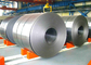 Custom Made Galvanized Steel Coil SS400 SS490B SS540 SPHT1/2/3/4 Grade